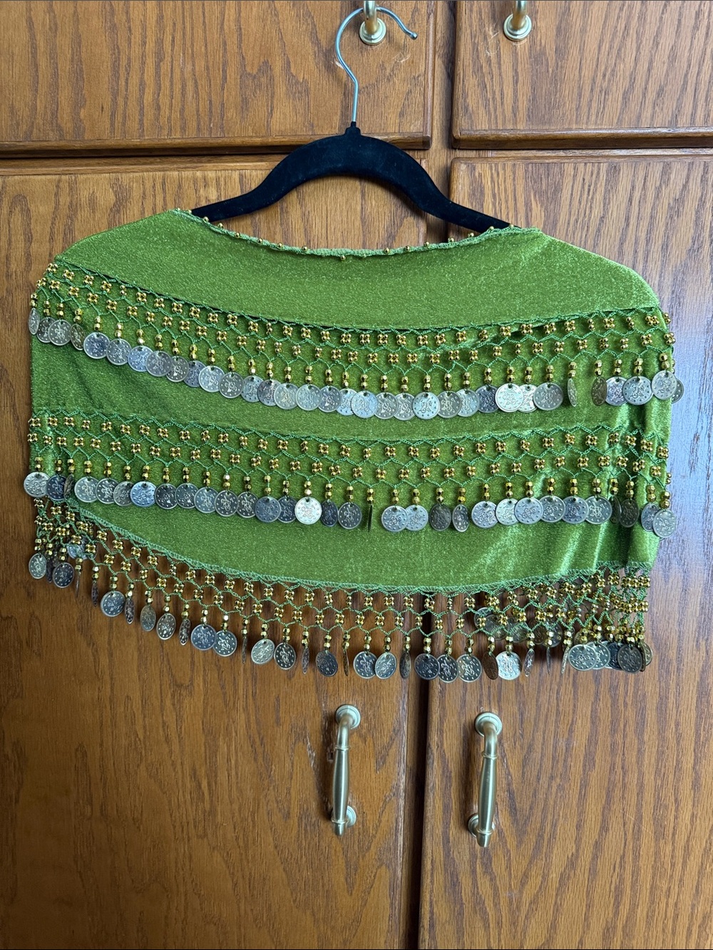 Lime Green velvet Coin Fringe Hip Scarf - Belly Dance Shawl